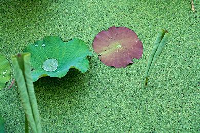 英国周榜：Switch《马里奥高尔夫》首周销量夺冠